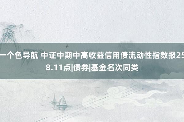 一个色导航 中证中期中高收益信用债流动性指数报258.11点