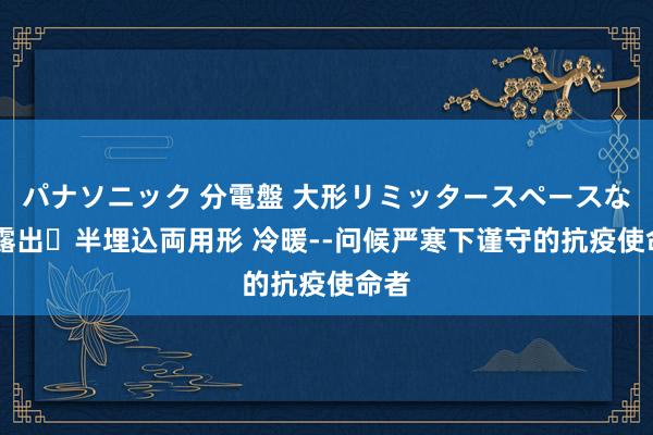 パナソニック 分電盤 大形リミッタースペースなし 露出・半埋